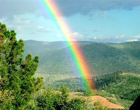 ¡DEJA QUE EL ARCO IRIS ENTRE EN TU VIDA!