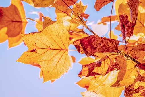 OTOÑO, ESTACIÓN DEL ALMA