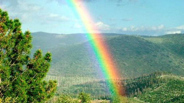 ¡DEJA QUE EL ARCO IRIS ENTRE EN TU VIDA!