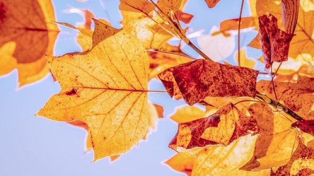 OTOÑO, ESTACIÓN DEL ALMA